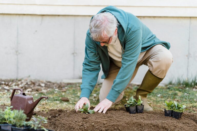 20 Hobbies to Start After Retirement That Cost Almost Nothing