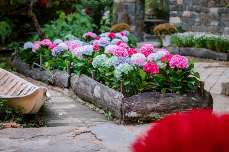 The Best Low Maintenance Garden Ideas for Seniors A Complete Guide