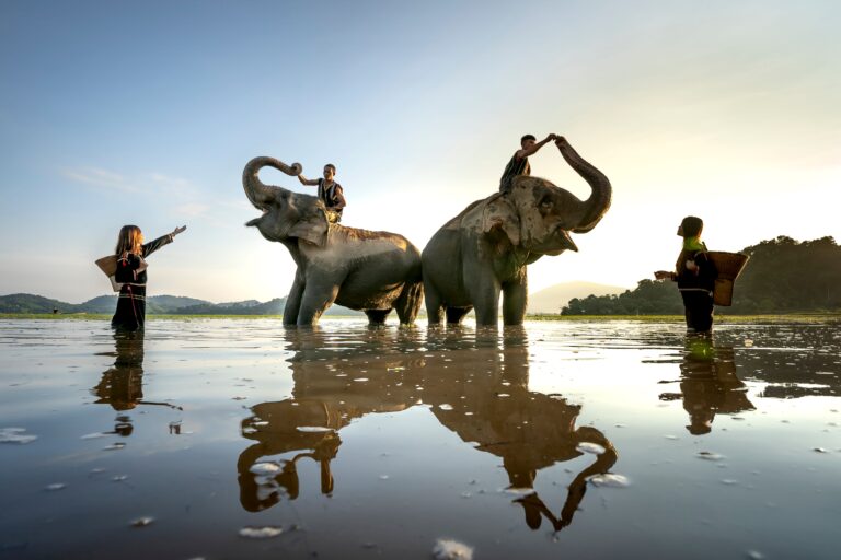 The 10 Best Activities in Thailand — A Complete Guide