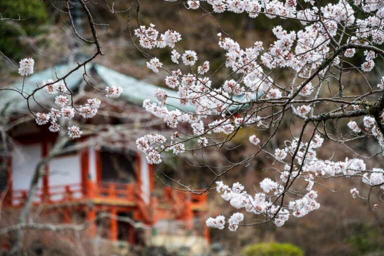 The Best Places to Visit in Japan for Australian Retirees — A Complete Guide