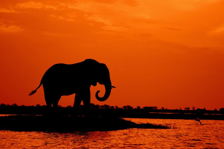 The Best Places to Visit in South Africa — A Complete Travel Guide