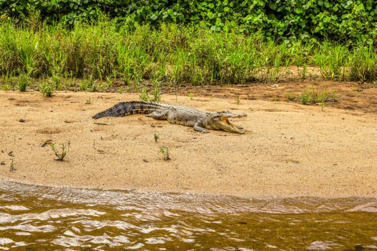 The 10 Best Activities in Queensland — A Complete Guide