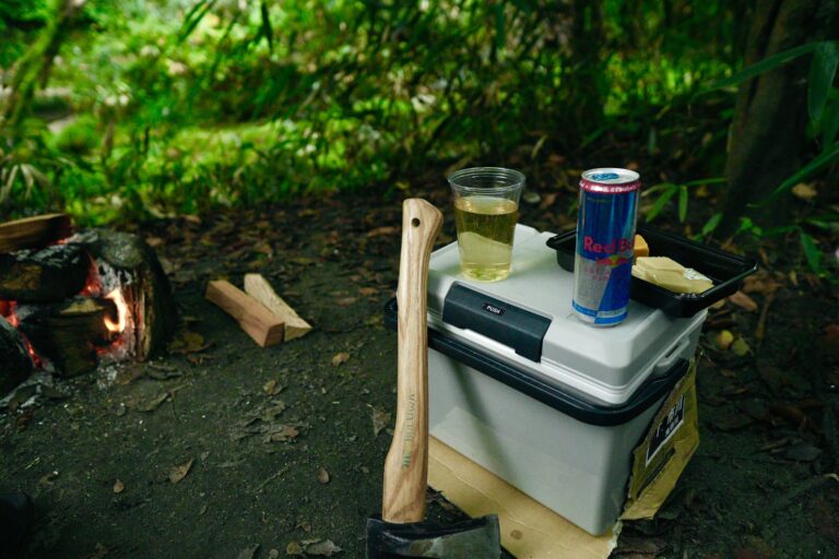 The Best Portable Fridges for Caravanning in Australia — A Complete Guide