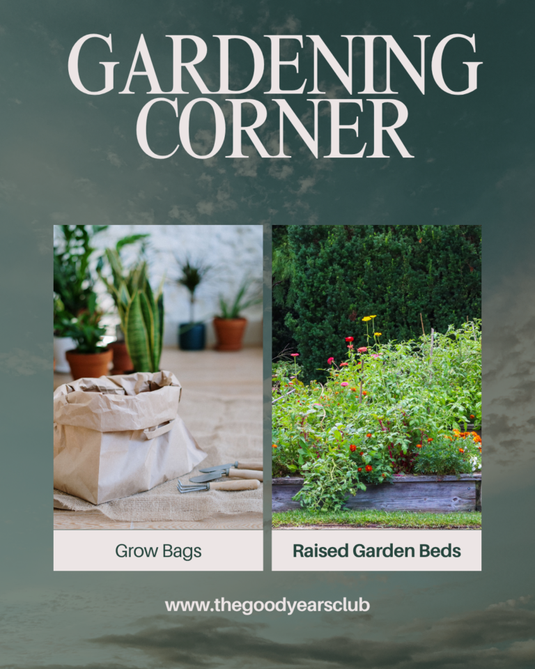 Raised Garden Beds vs Grow Bags — Which is Better for Australian Seniors?