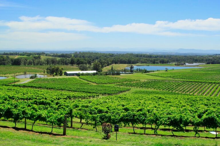 The Best Things to Do in South Australia in September 2026