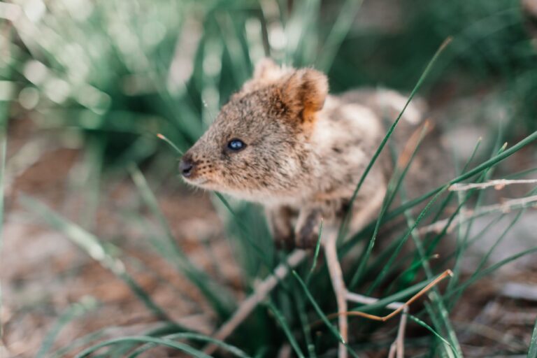 The Best Things to Do in Western Australia in September 2026